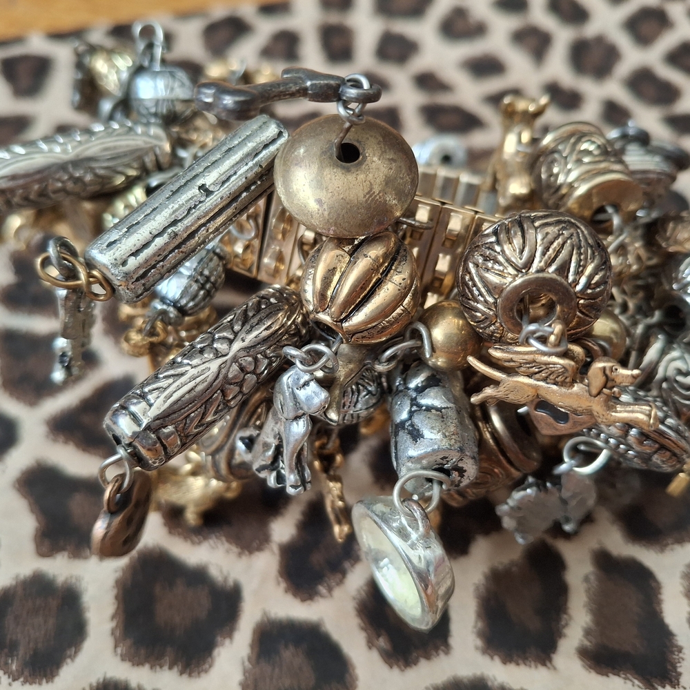 DOG LOVERS Gold and Silver Charm Bracelet - Picture 2 of 3